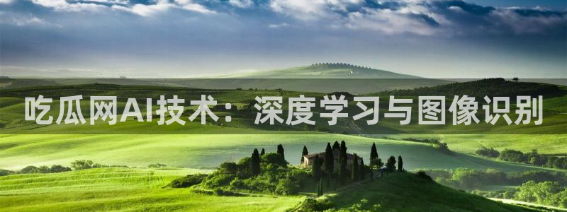吃了坏瓜怎么办:吃瓜网AI技术:深度学习与图像识别