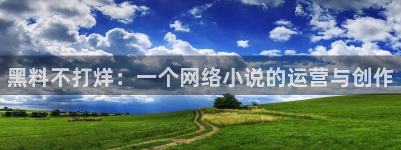 脆瓜尽量少吃最好不吃:黑料不打烊:一个网络小说的运营与创作